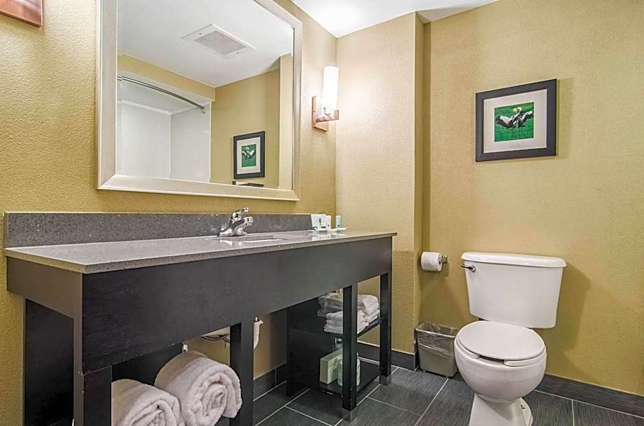 Quality Suites Graham - Burlington South