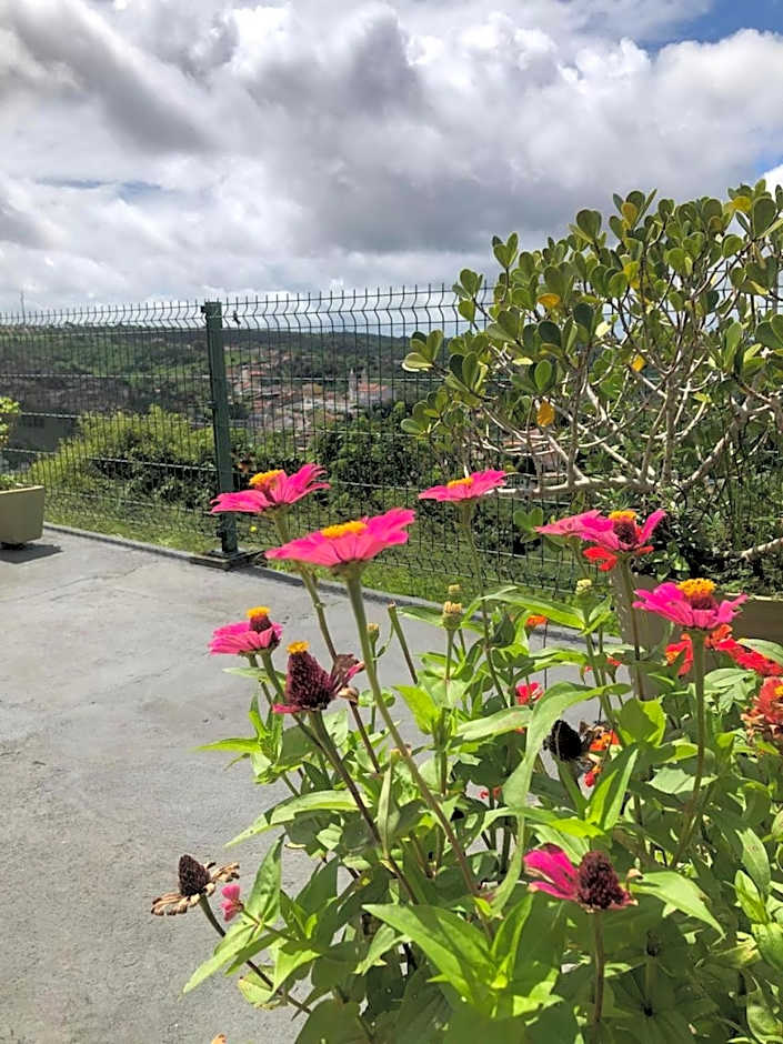 Pousada Da Serra Bananeiras