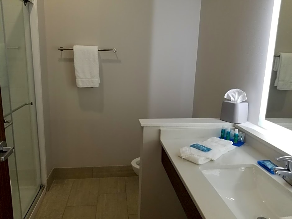 Holiday Inn Express & Suites - Fort Mill By IHG