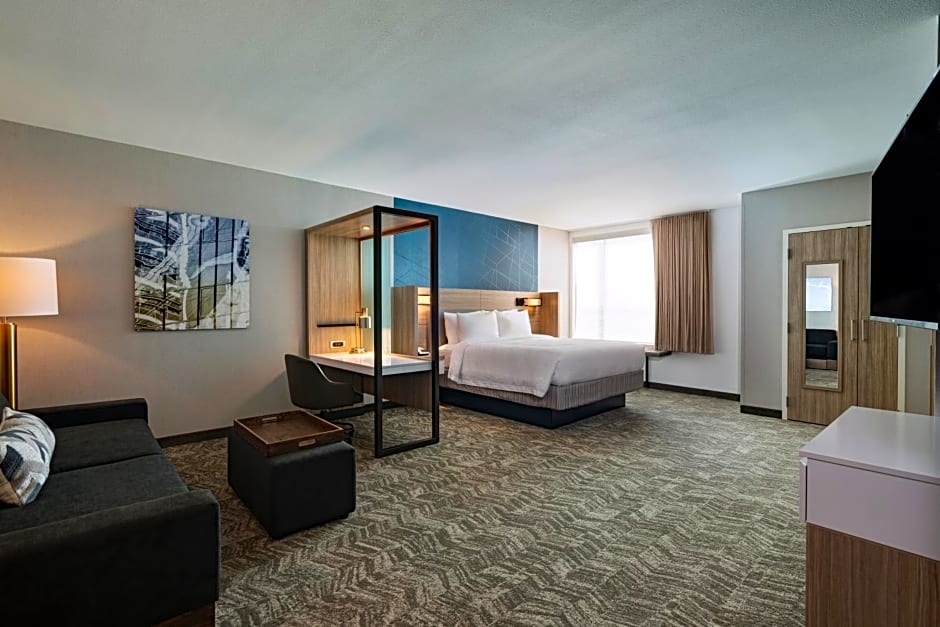 SpringHill Suites by Marriott Dallas Richardson/University Area