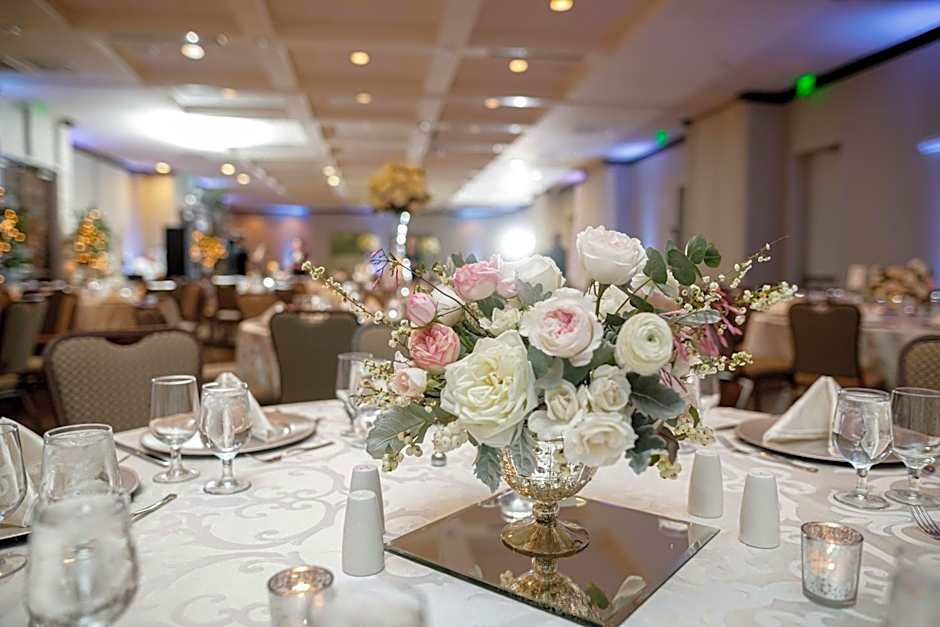 Hilton Garden Inn Raleigh Cary