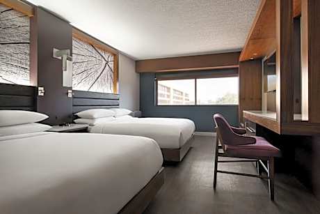 Room, 2 Queen Beds