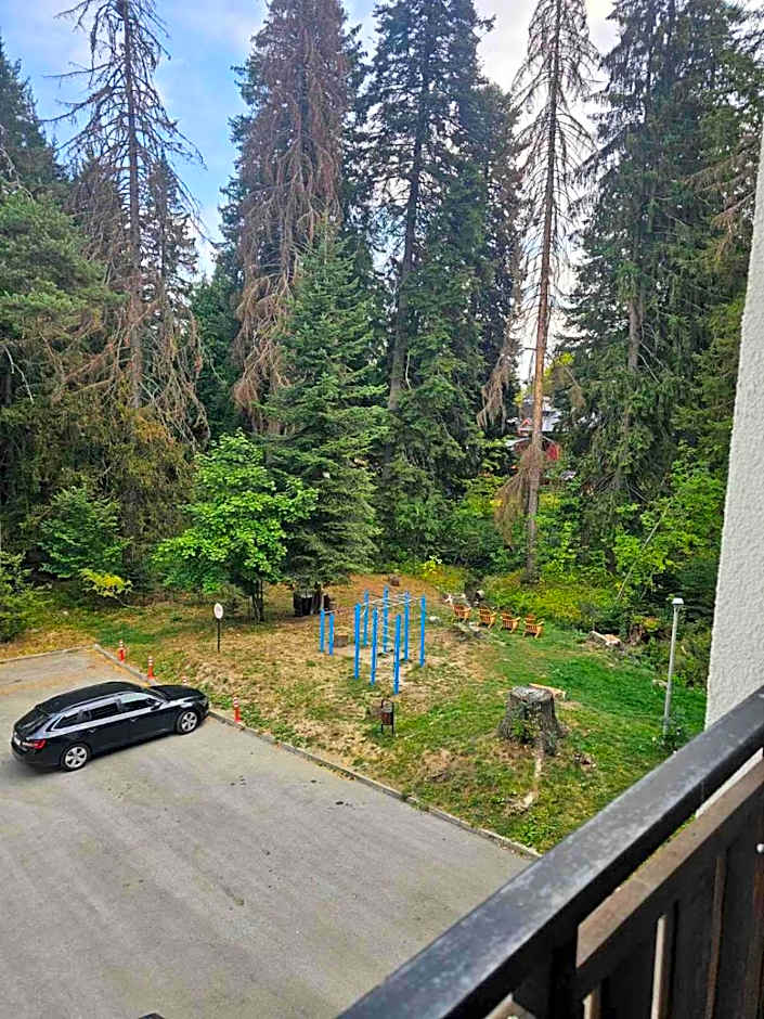Bright & Cozy Studio E27 in Borovets Gardens