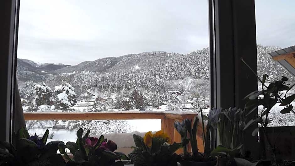 Casa de Vacanta Neagu