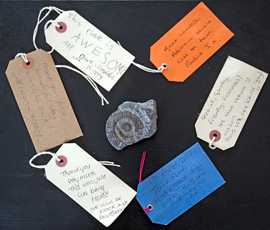 Newberry Beach lodge