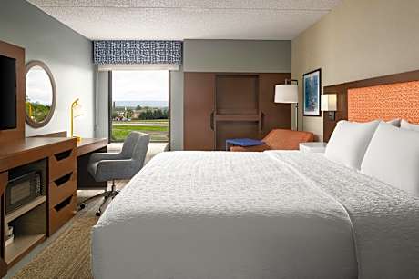 1 King Bed Nonsmoking