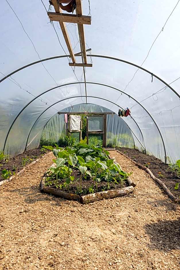 The Common Knowledge Centre