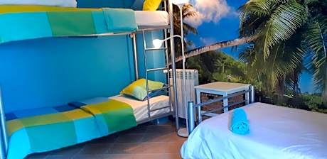 Bed in 6-Bed Mixed Dormitory Room