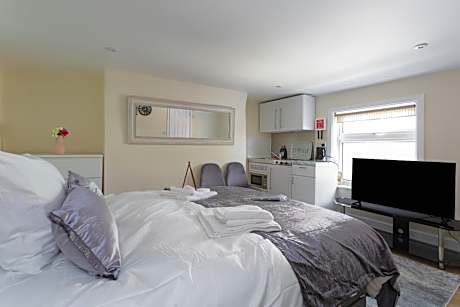 Deluxe One-Bedroom Apartment