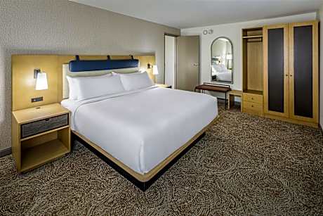 1 King Bed Junior Suite