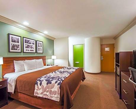 1 King Bed, Nonsmoking