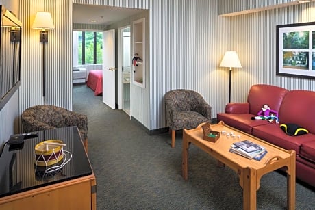 King Suite with Sofa Bed