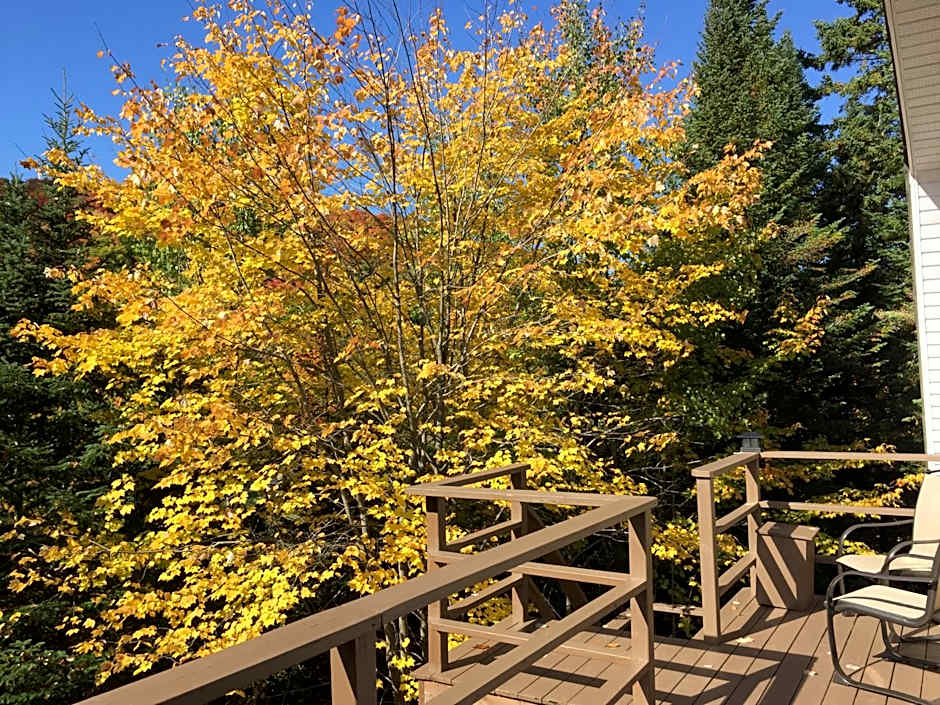 Loft Nature Laurentides