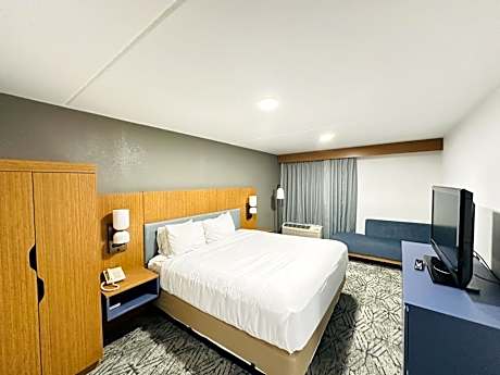 1 King Bed Suite Nonsmoking