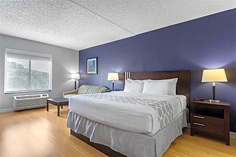 King Suite with Sofa Bed - Pet Friendly