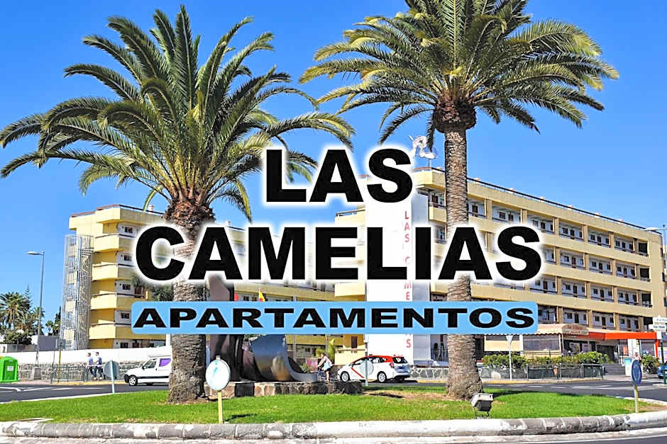 Las Camelias Apartments