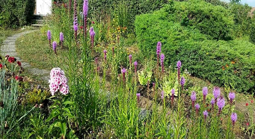 Chambres D'hotes du Plessis