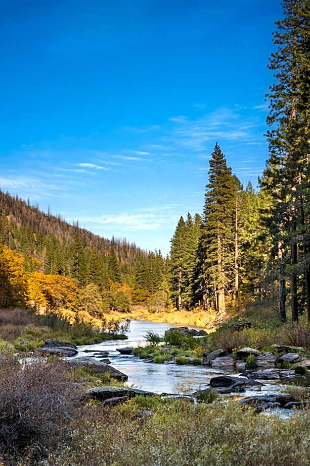 Escape to The Cabin, 1GB Fiber Ultrafast Wifi!