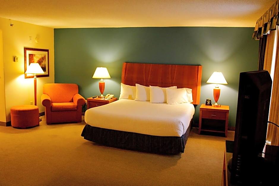 Hilton Garden Inn Albany