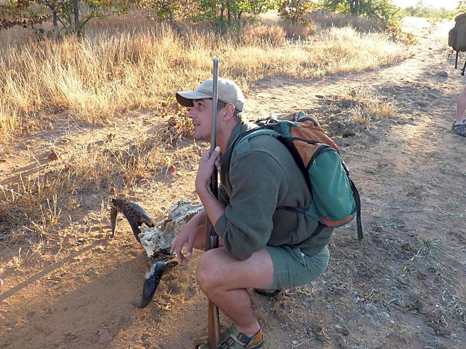 Bush Villas on Kruger