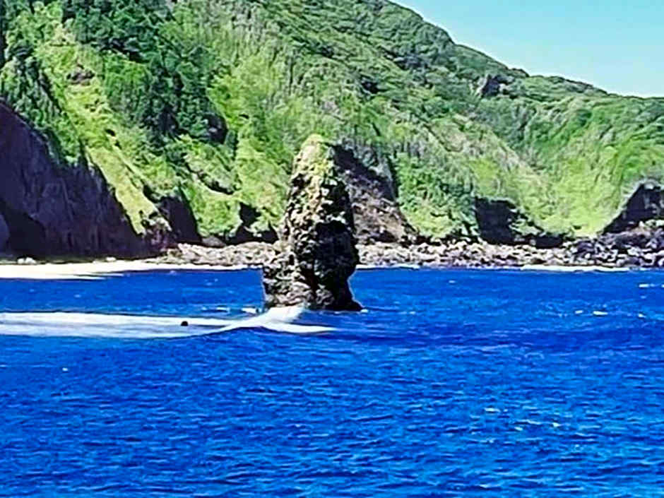 Yuraku Izu-Oshima - Vacation STAY 44742v