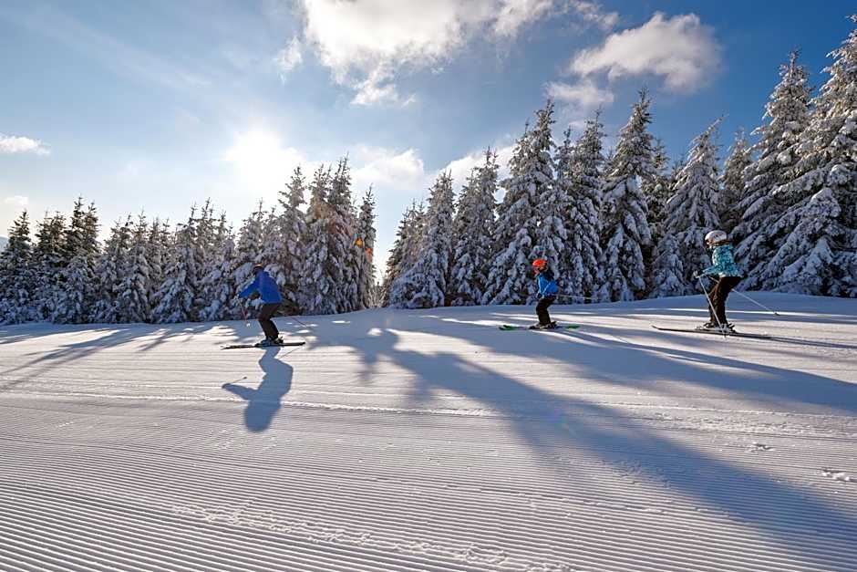 Terme Zreče – Vile Terme Zreče