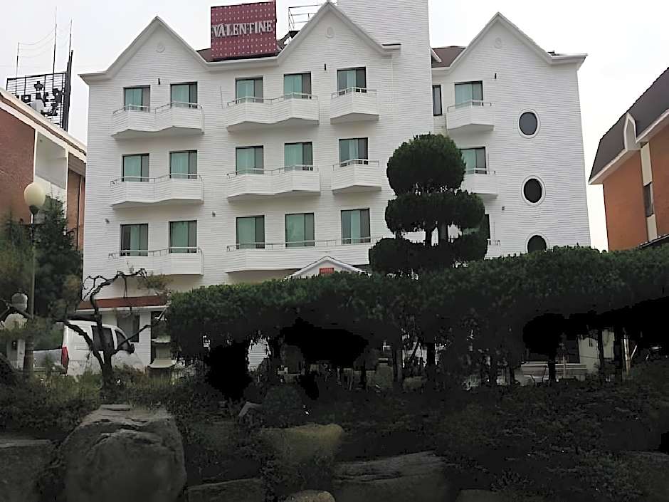 Hotel Valentine (Korea Quality)