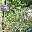 LOTUS GARDEN HOSTEL