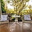 Cedia at Byron Bay Hinterland