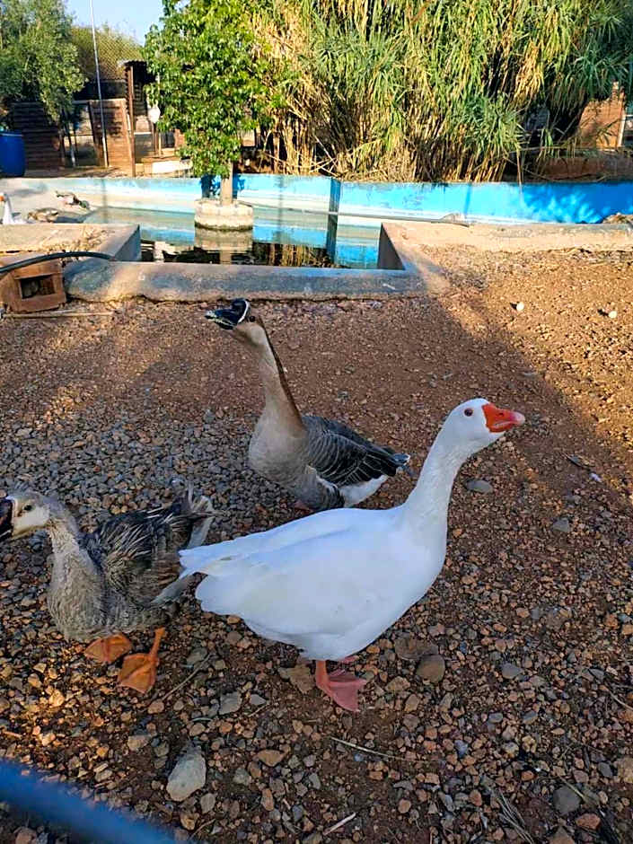 Anthidon Nature Estate & Farm