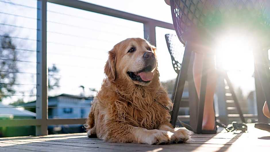 Barlings Beach Holiday Park