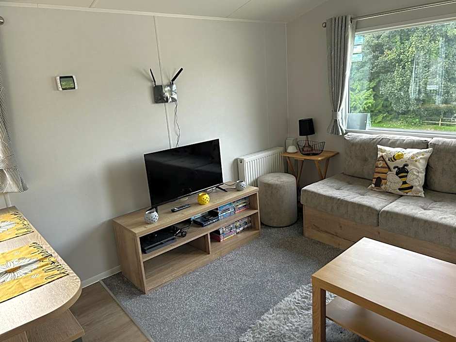 HoneyBees At Glade 17