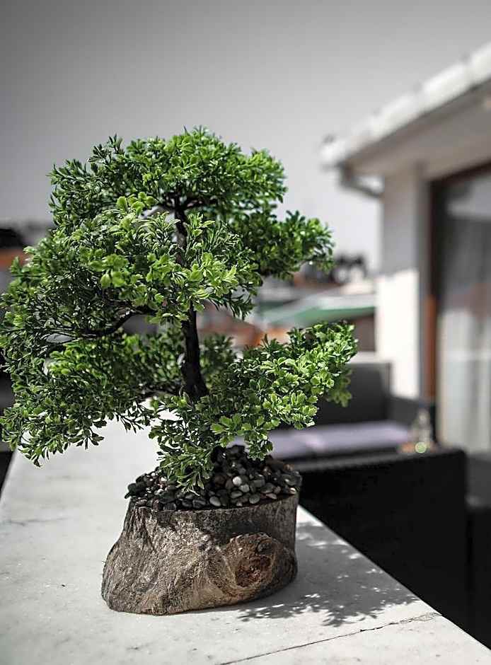 The Legend Platine Suite