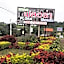 Khao Kho Flora