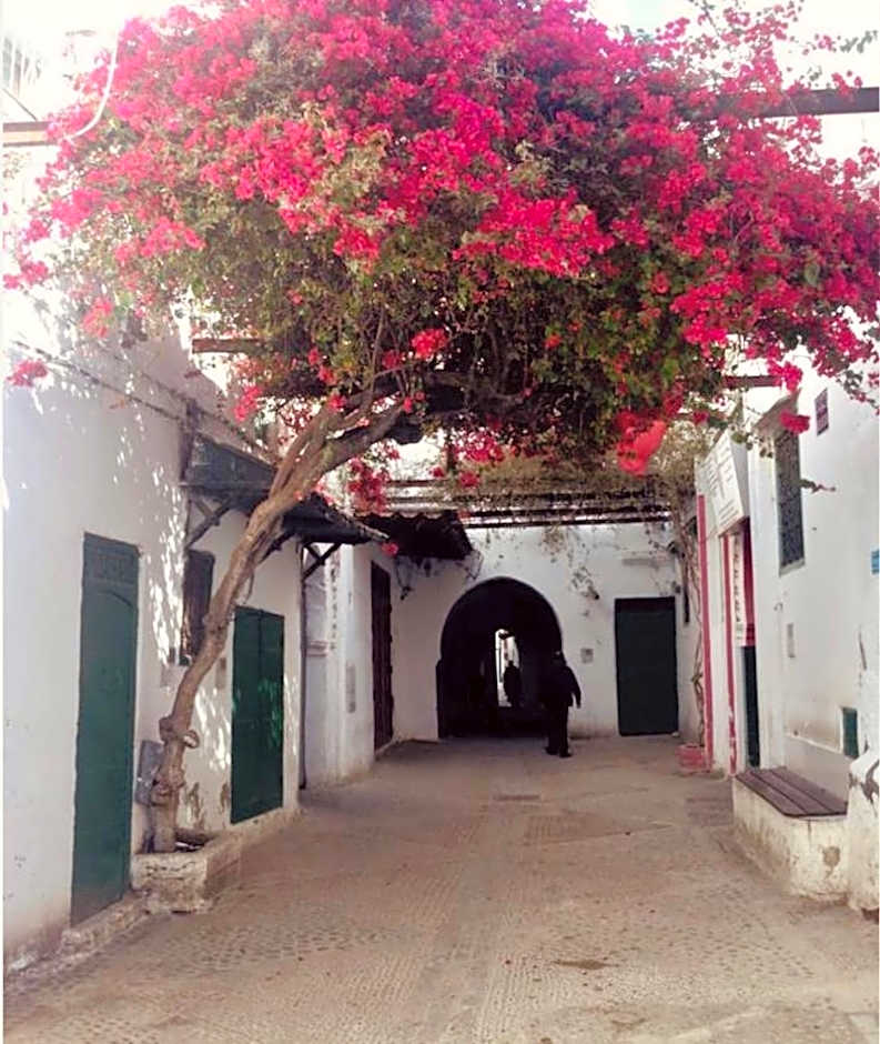 Hotel Dar Dalia Tetouan