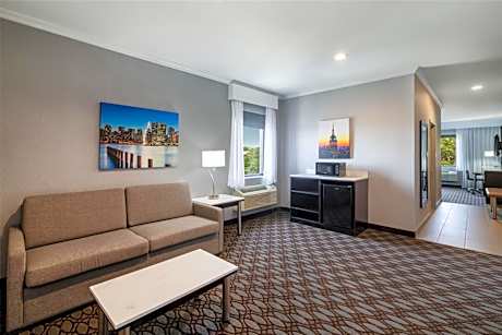 King Suite with Sofa Bed and Separate Living Area - Non-Smoking