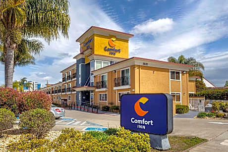 Comfort Inn Castro Valley