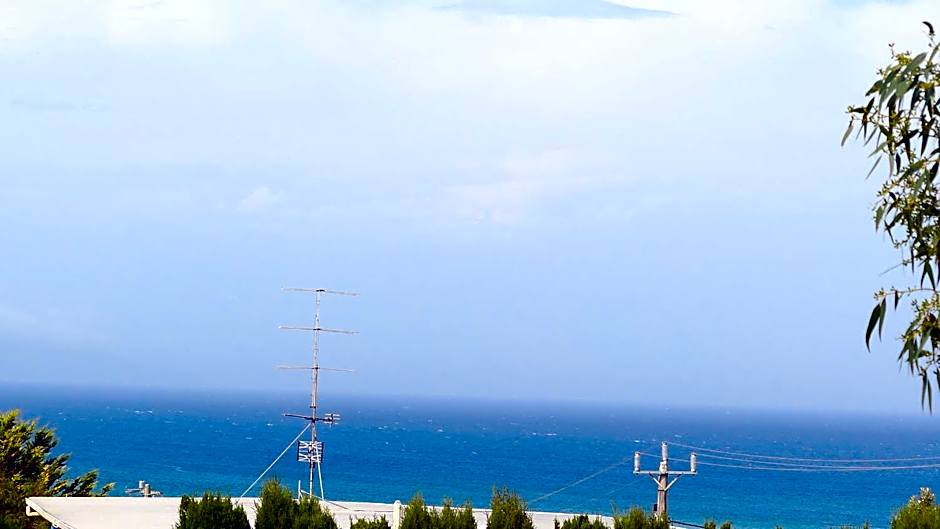 Apollo Bay Seal Apartments