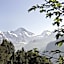 Hotel Alpenrose Wengen - a family affair since 1881