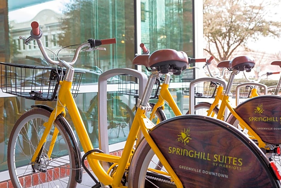 SpringHill Suites by Marriott Greenville Downtown