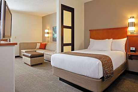 King Room with Accessible Tub - Disability Access