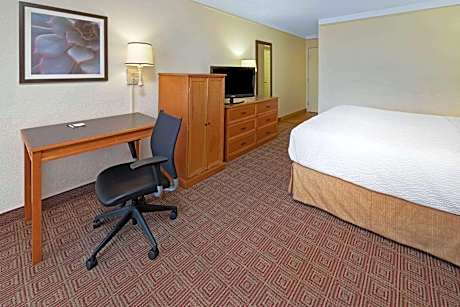 1 King Bed Pet-Friendly Non-Smoking