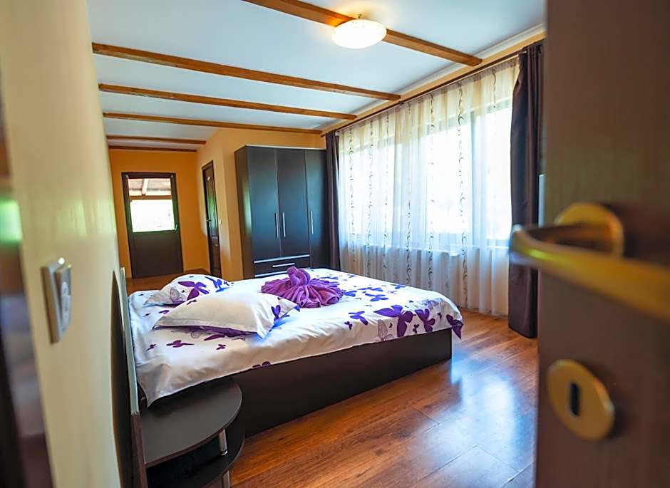 Casa de vacanta Sadu