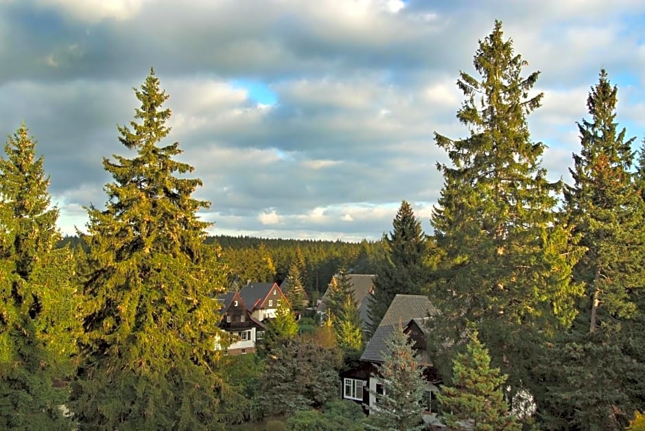 Berghotel Friedrichshöhe