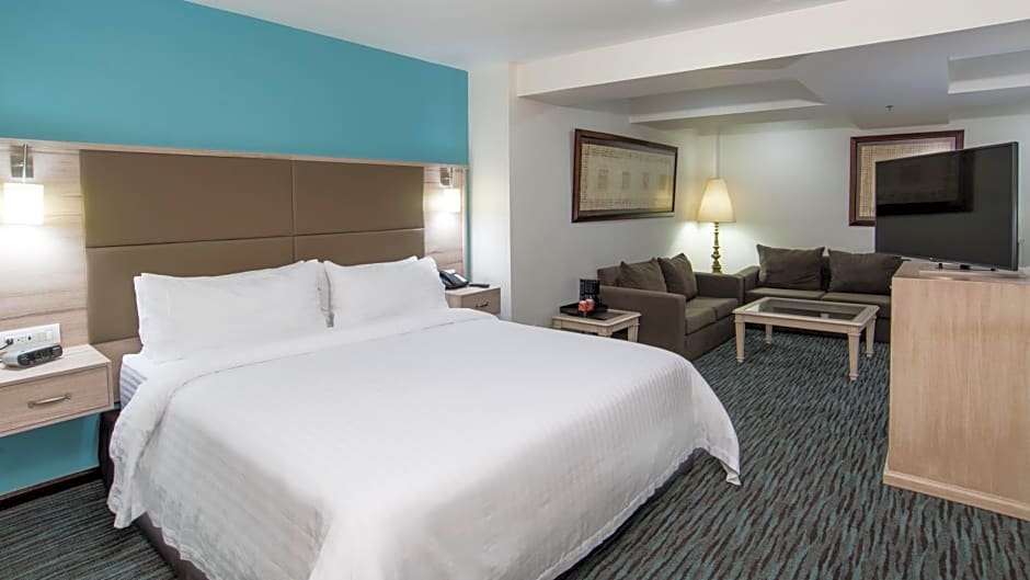 Holiday Inn & Suites Mexico Zona Reforma By IHG