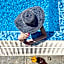 Waterside Houses