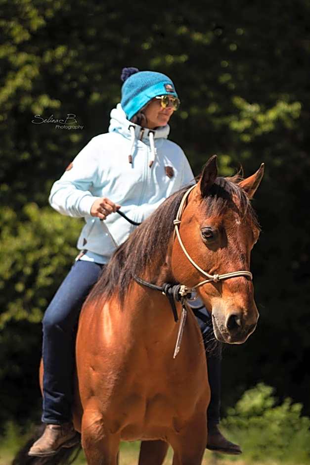 Der Blankhof "Back to Roots"