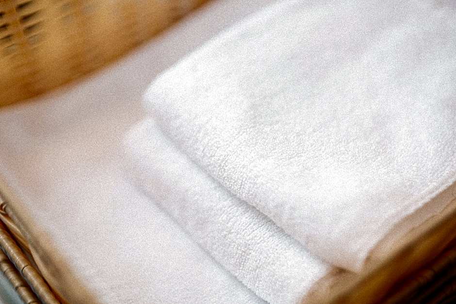 Hamamatsu Station Hotel