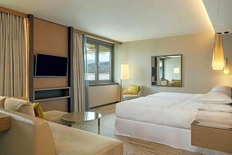 Executive Twin, Larger Guest room, 2 Twin/Single Bed(s)