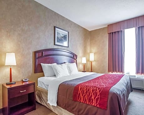 1 King Bed, Suite, Nonsmoking